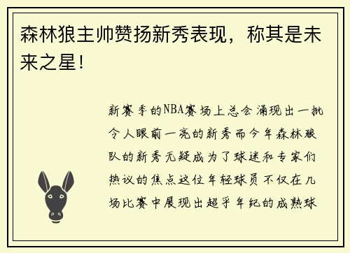 森林狼主帅赞扬新秀表现，称其是未来之星！